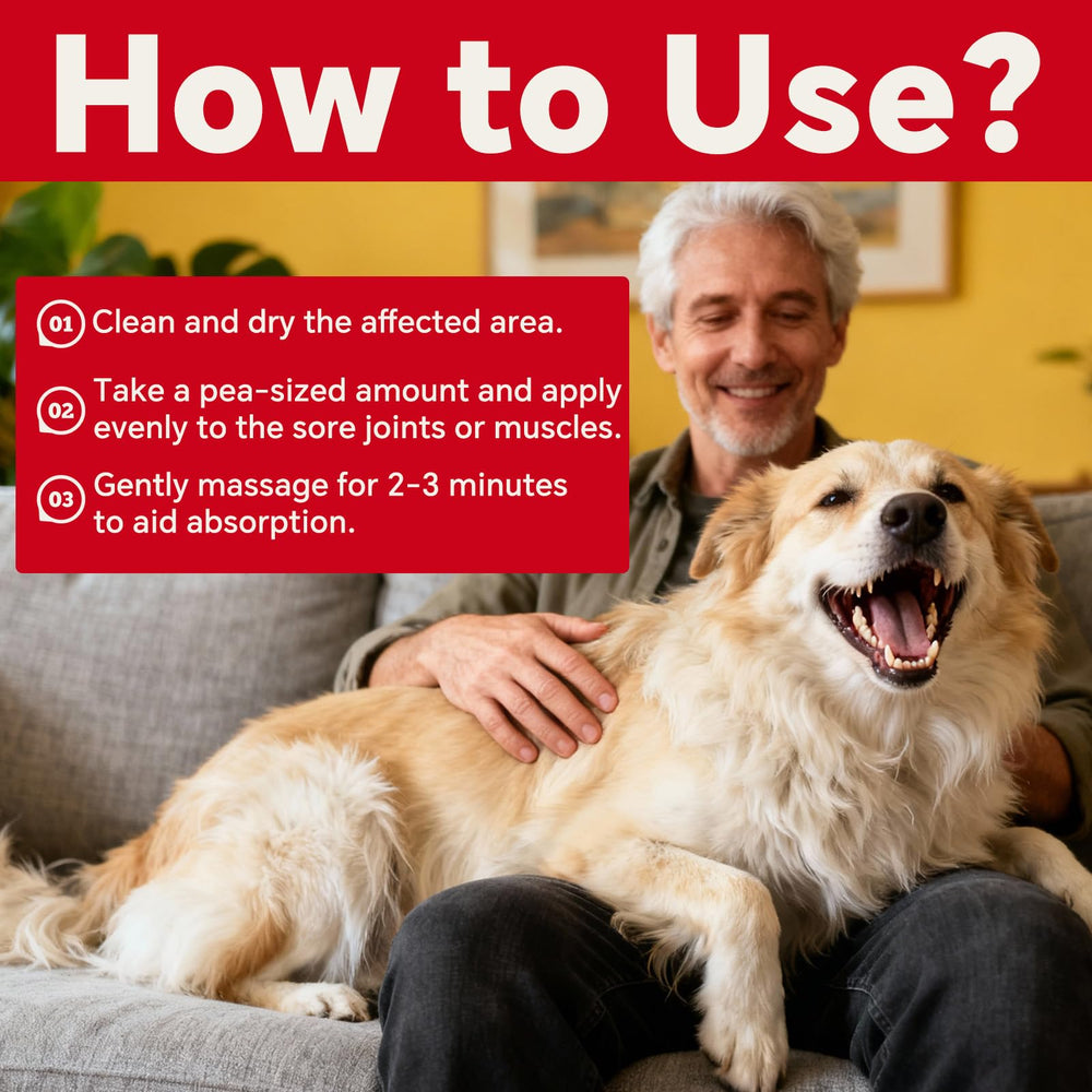 VivaElixir soutien musculaire chien – confort et mobilité musculaire possible