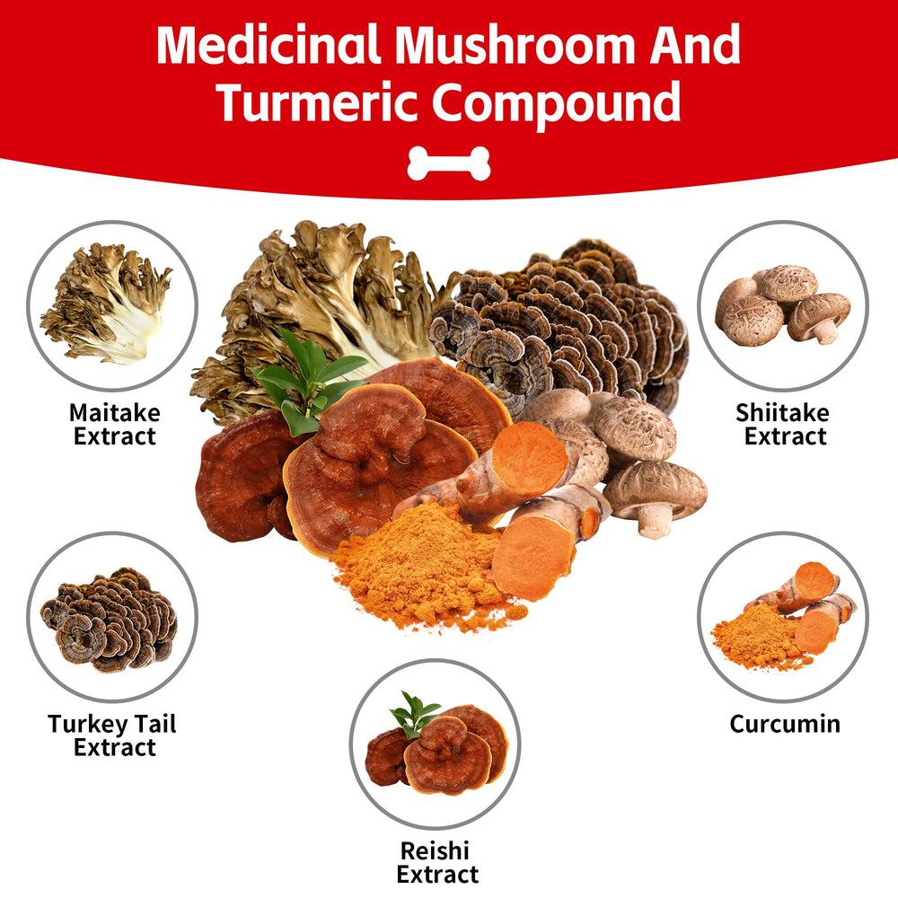 VivaElixir Poudre champignons, mélange idéal pour boisson chaude.
