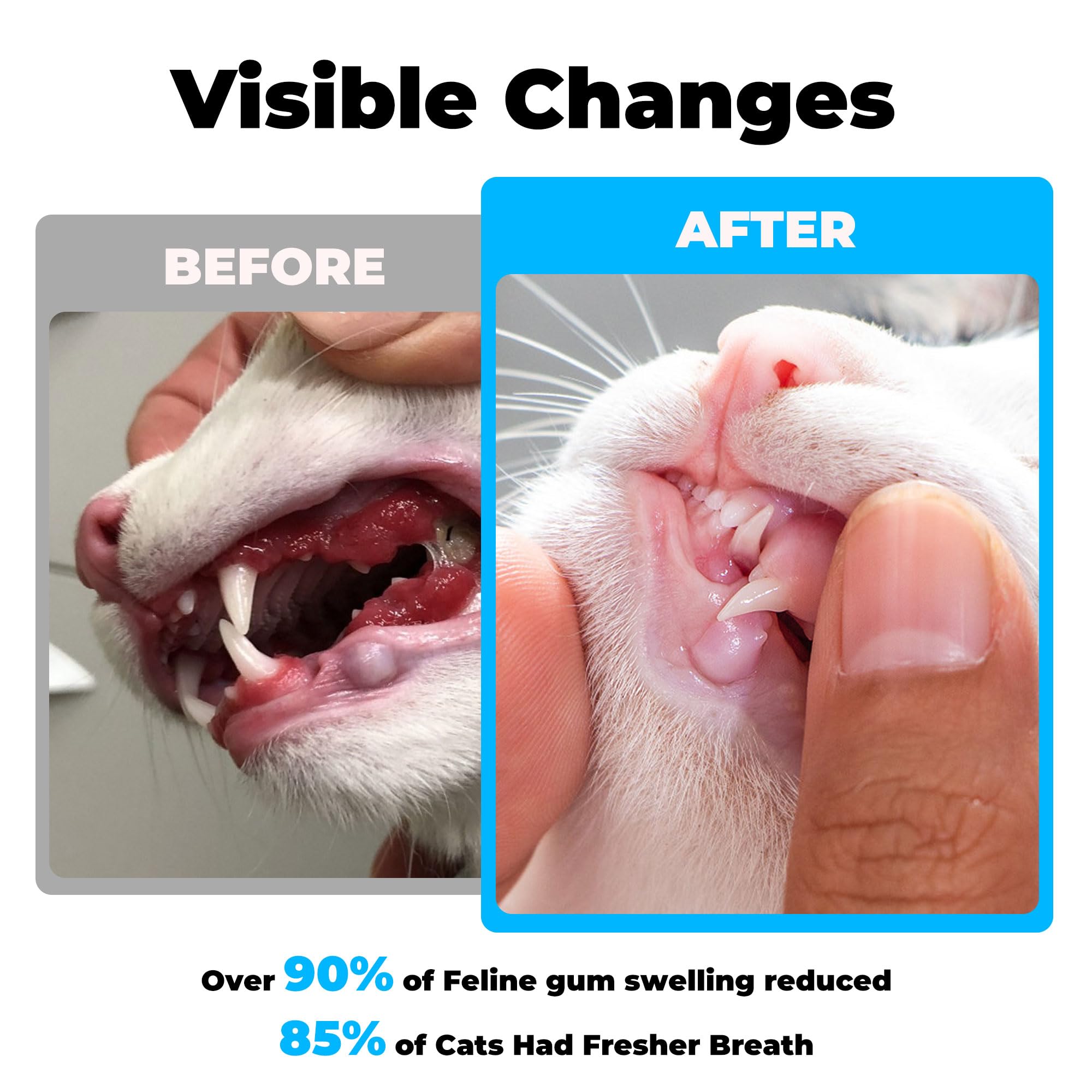VivaElixir Cat Dental Care: prevention-plaque-dentaire; réduit l'accumulation et garde l'haleine fraîche.
