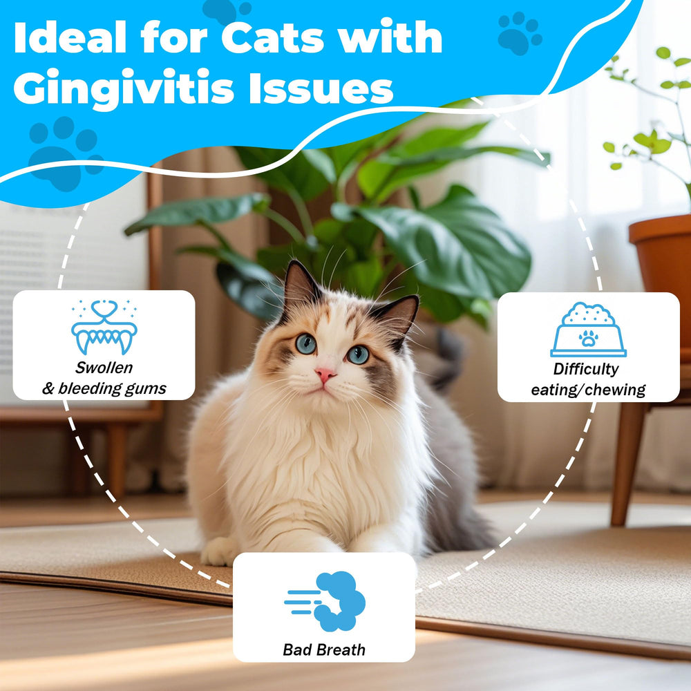 VivaElixir Cat Dental Care: soutien-digestif-chat; peut accompagner le confort après repas.
