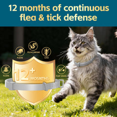 Collier VivaElixir pour chat – texture douce et confort optimal sur la peau.