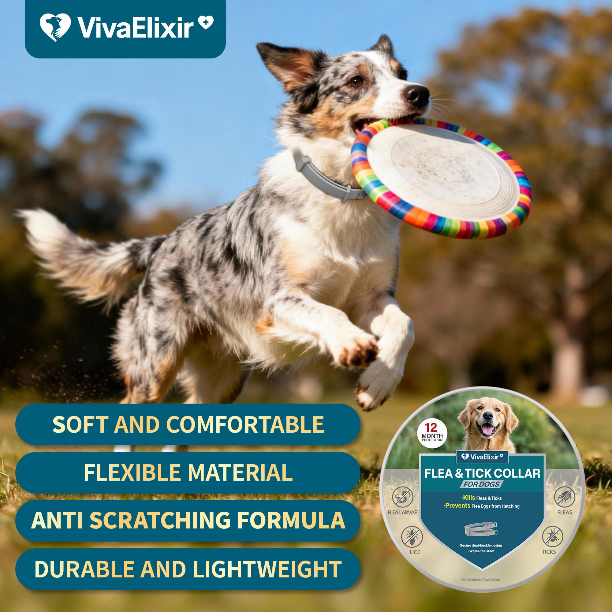 Collier VivaElixir étanche idéal pour plage et piscine.