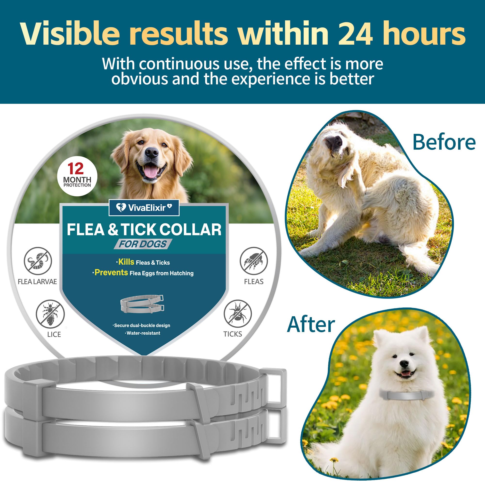 Collier VivaElixir à base d’herbes et d’huiles naturelles pour chien.