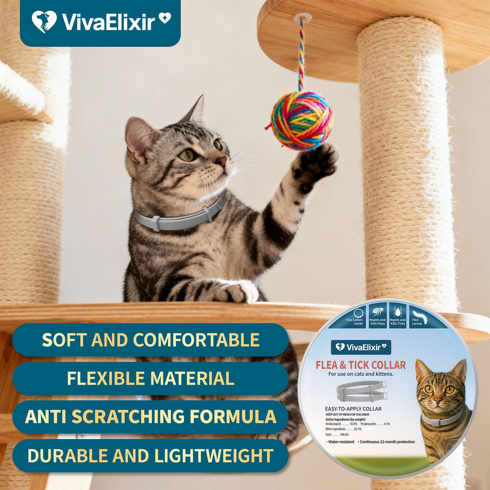 Emballage double VivaElixir – deux colliers faciles à changer et à vérifier.