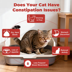 VivaElixir goût poulet naturel, meilleure acceptation par le chat.