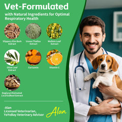 Gouttes VivaElixir Feuilles d'Olivier: soutien antioxydant pour les voies respiratoires.