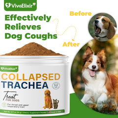 Étiquette VivaElixir Poudre Toux chien – composition naturelle et sans additifs artificiels.
