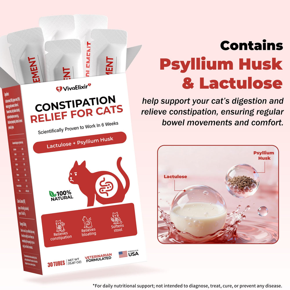 VivaElixir probiotiques inclus, soutien potentiel de l’équilibre intestinal.