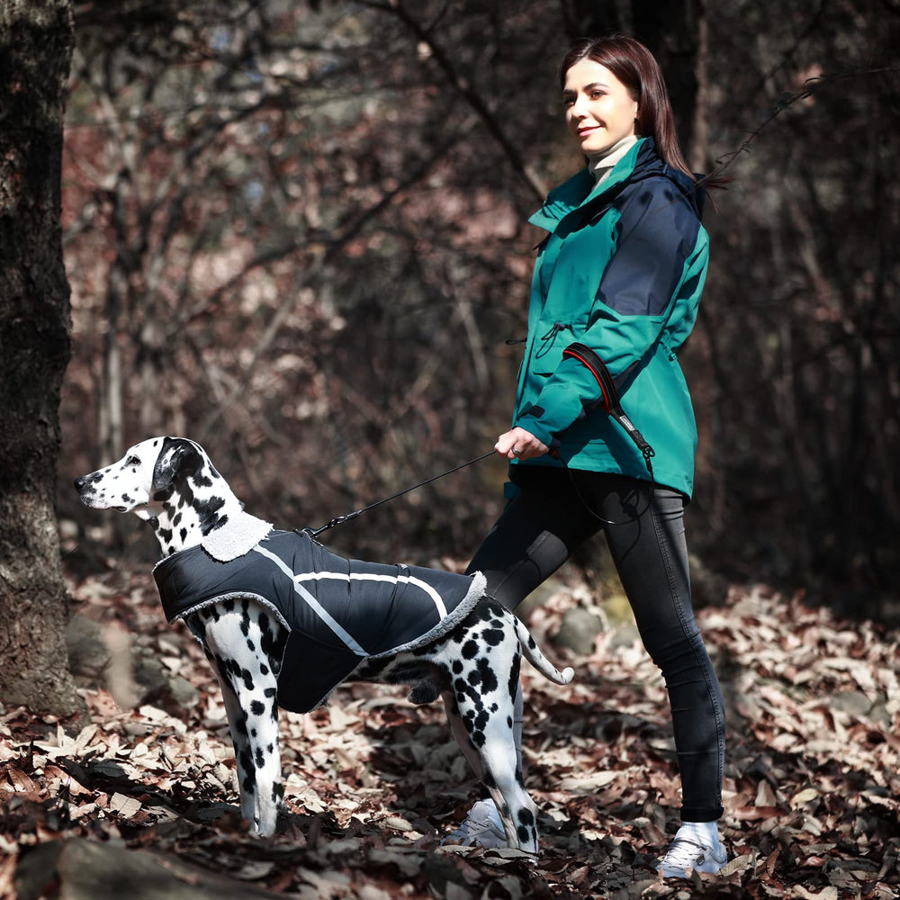 Doublure polaire Frostfit, chaleur intérieure confortable.
