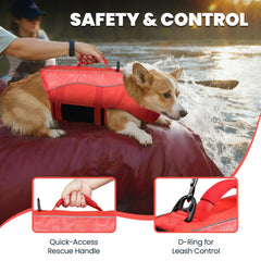 VIVAGLORY gilet-chien-flottabilite-superieure offre plus de stabilité aquatique.