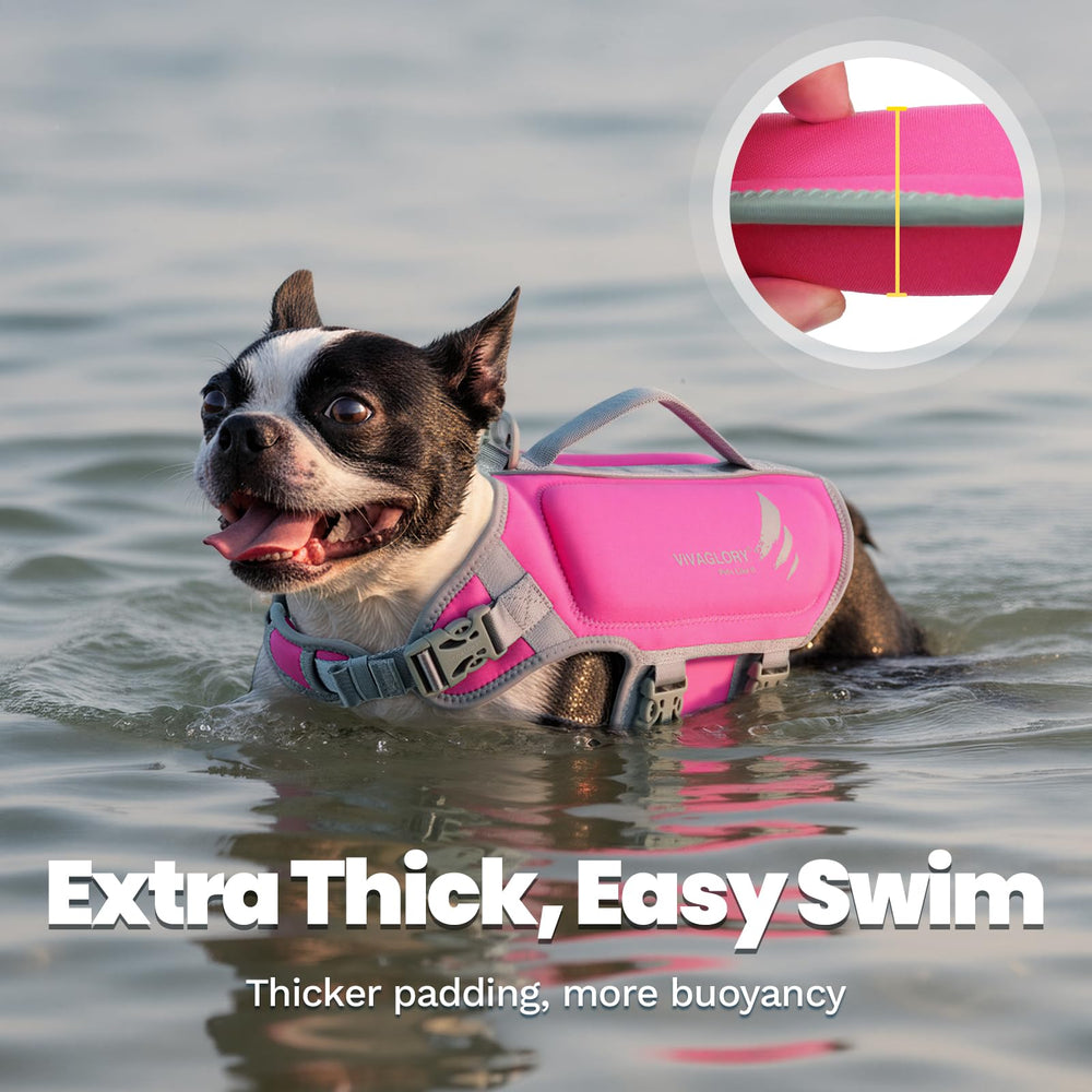 VIVAGLORY gilet flottant chien avec éléments réfléchissants pour une meilleure visibilité