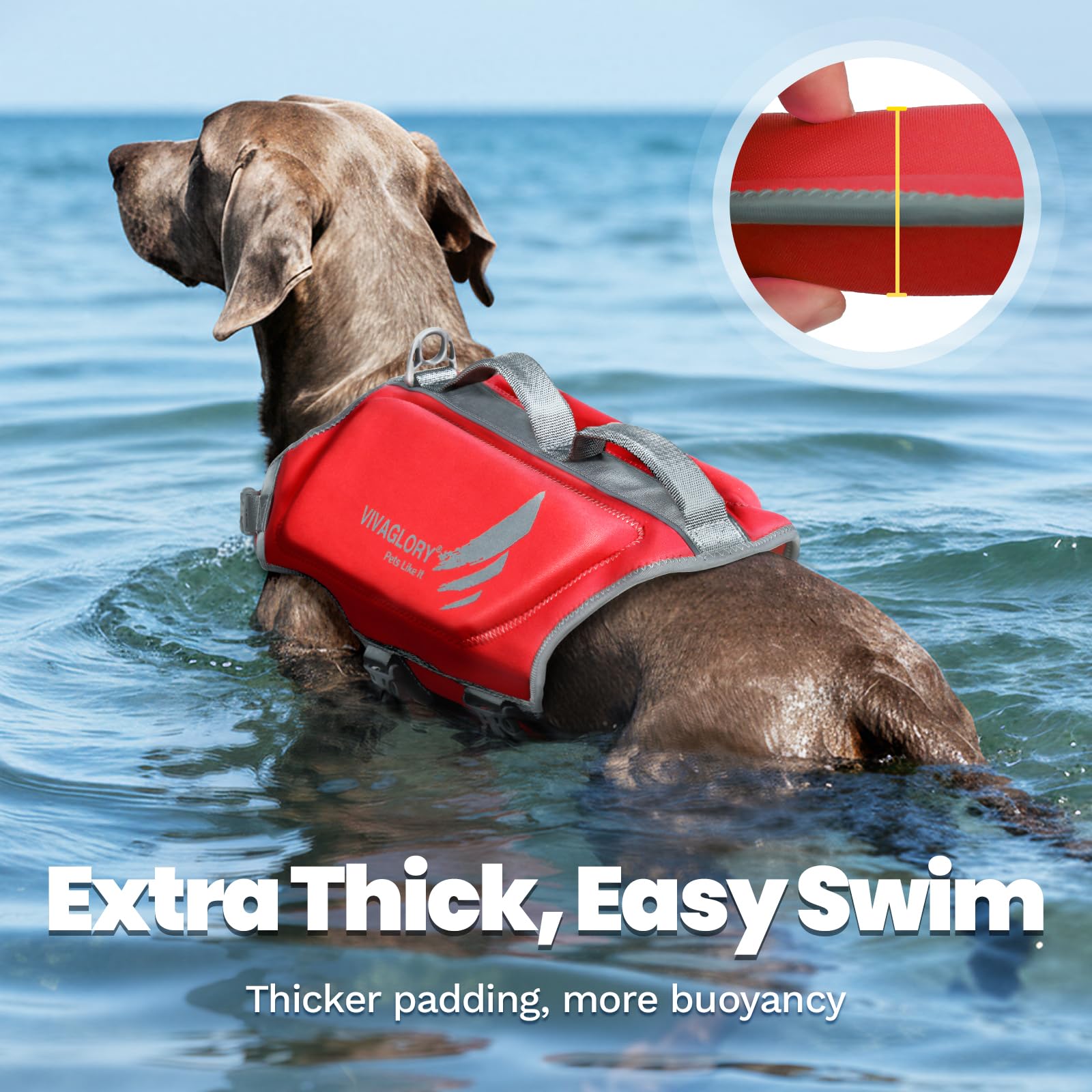 Gilet VIVAGLORY taille L rouge s'ajuste au torse du chien