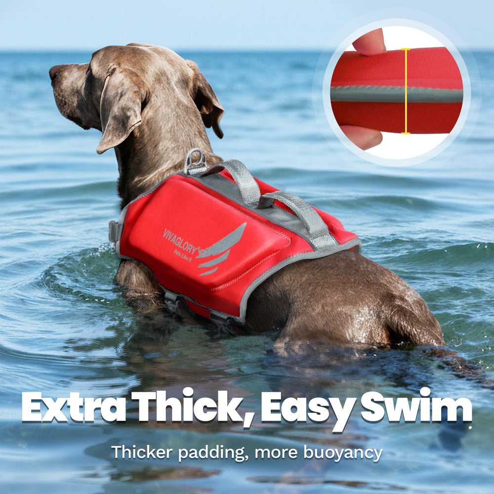 Gilet VIVAGLORY taille L rouge s'ajuste au torse du chien
