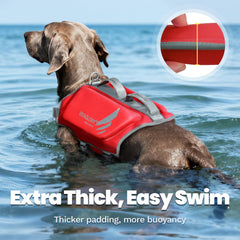Gilet VIVAGLORY taille L rouge s'ajuste au torse du chien