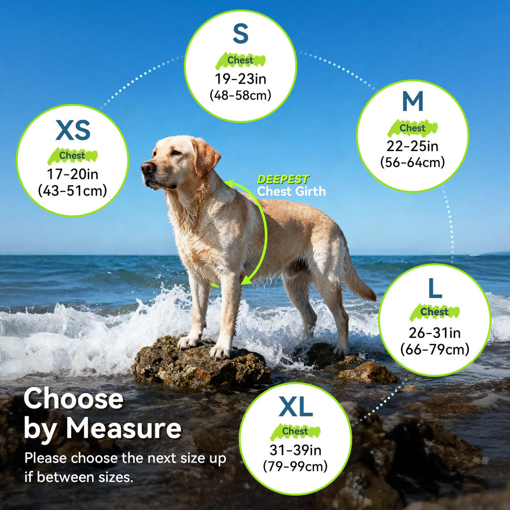 VIVAGLORY gilet de sauvetage chien ajustable, sangles faciles à régler pour un ajustement sûr.