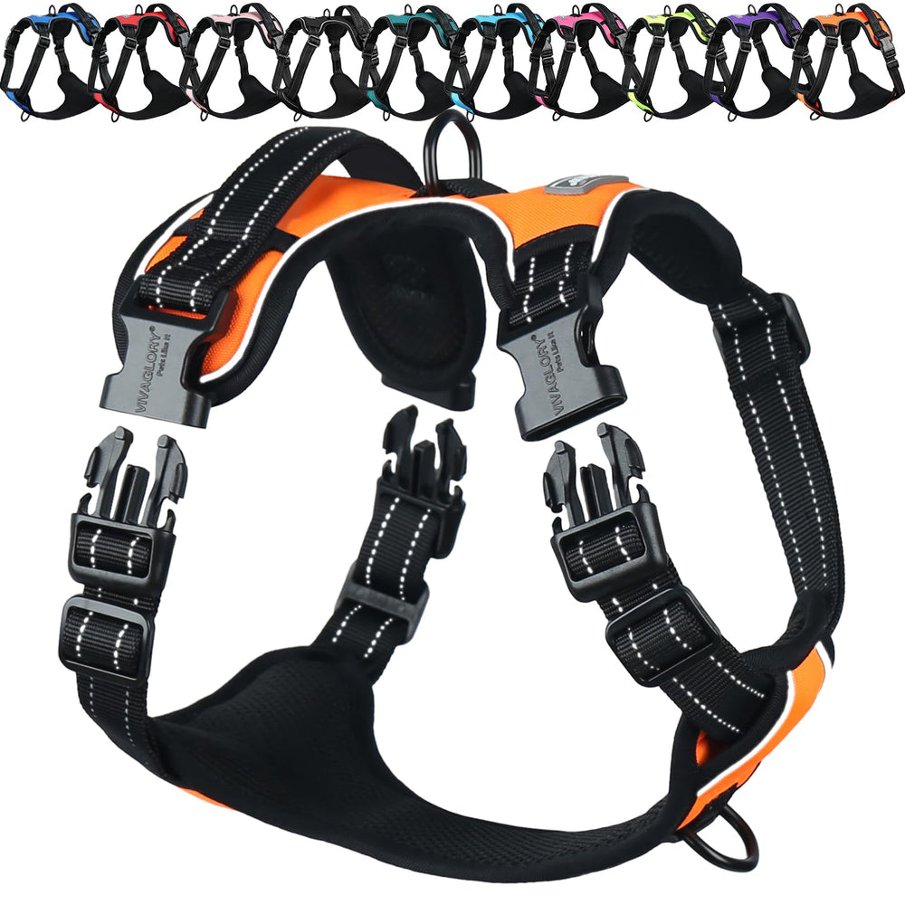 Harnais VIVAGLORY Easewalk avec clip avant pour progresser pendant l'entraînement.