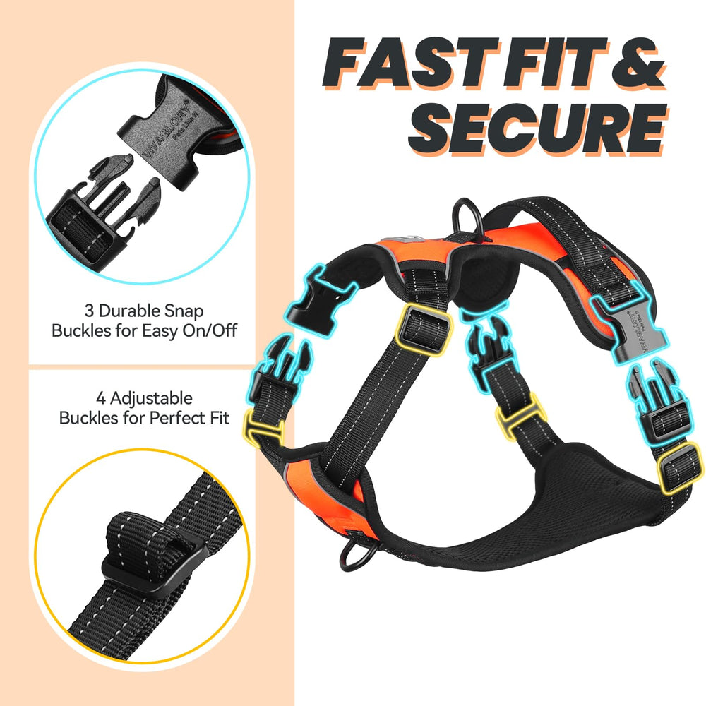 Harnais VIVAGLORY Easewalk avec poignee securite pour grips et levage.