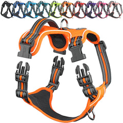 Harnais VIVAGLORY EaseWalk avec clip frontal pour guider le chien lors des promenades