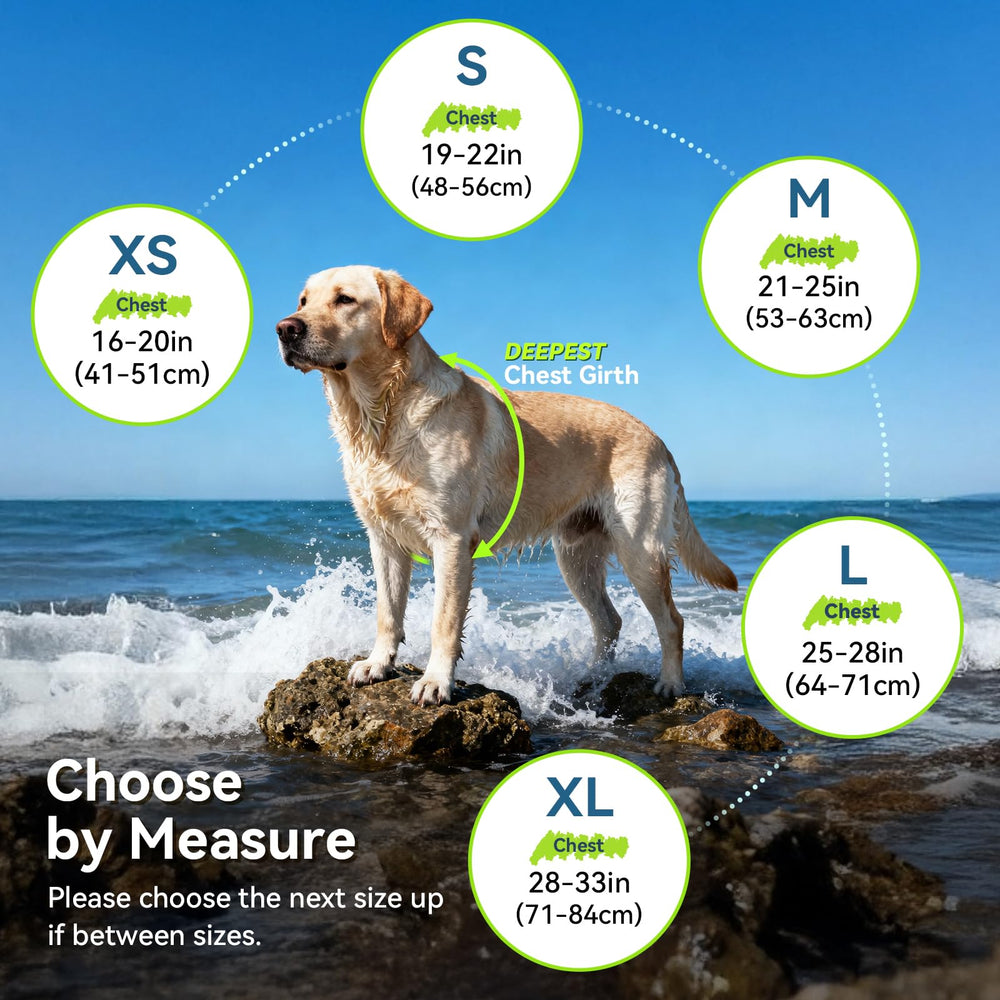 VIVAGLORY gilet chien avec sangles ajustables et fermeture rapide pour un ajustement sûr