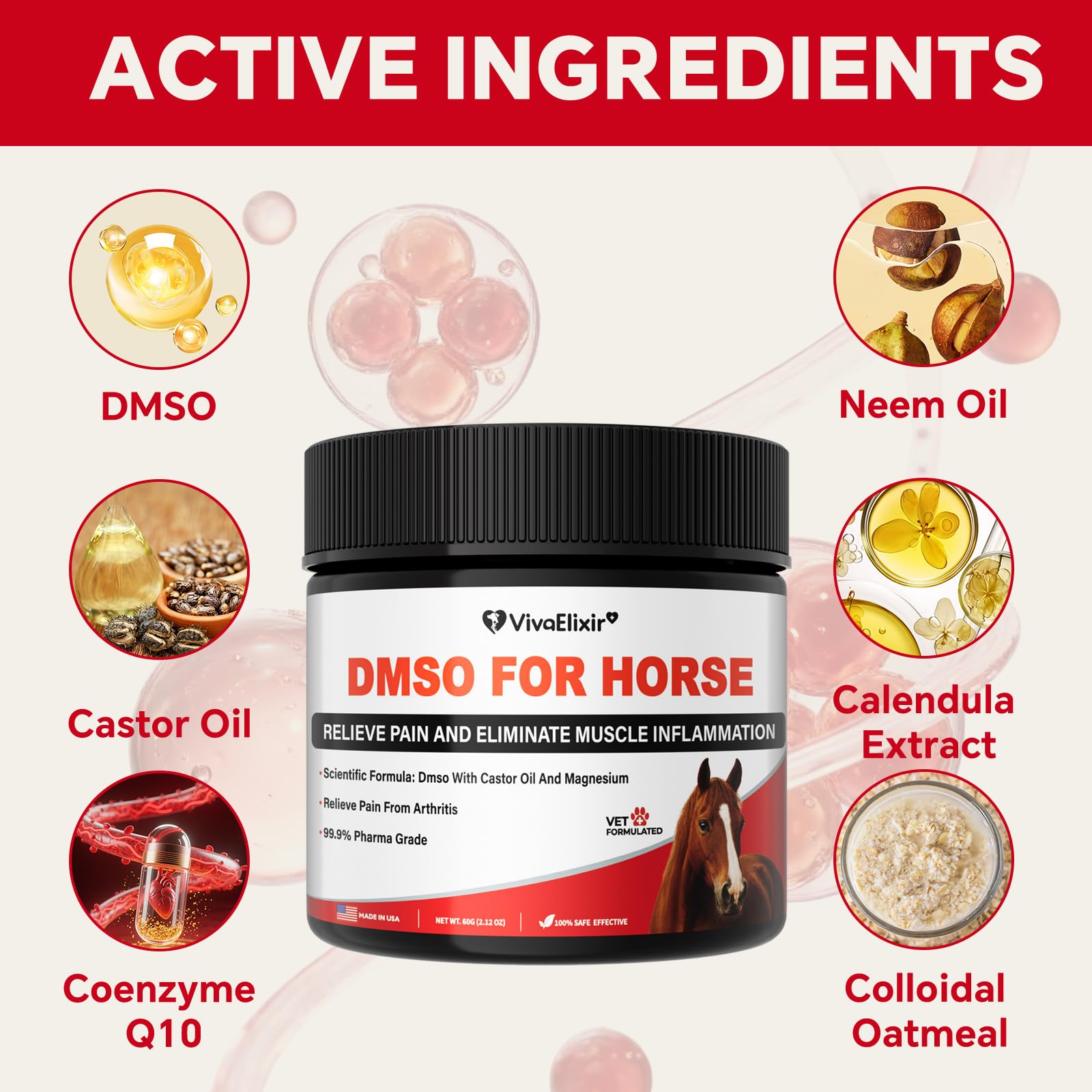 Application pré-entraînement VivaElixir DMSO pour préparer les muscles du cheval.
