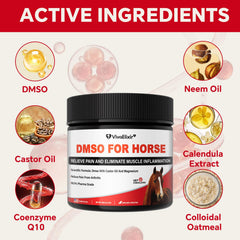 Application pré-entraînement VivaElixir DMSO pour préparer les muscles du cheval.