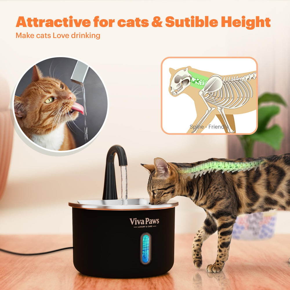 VIVA PAWS usage dans le salon chat: solution discrète pour l'hydratation.