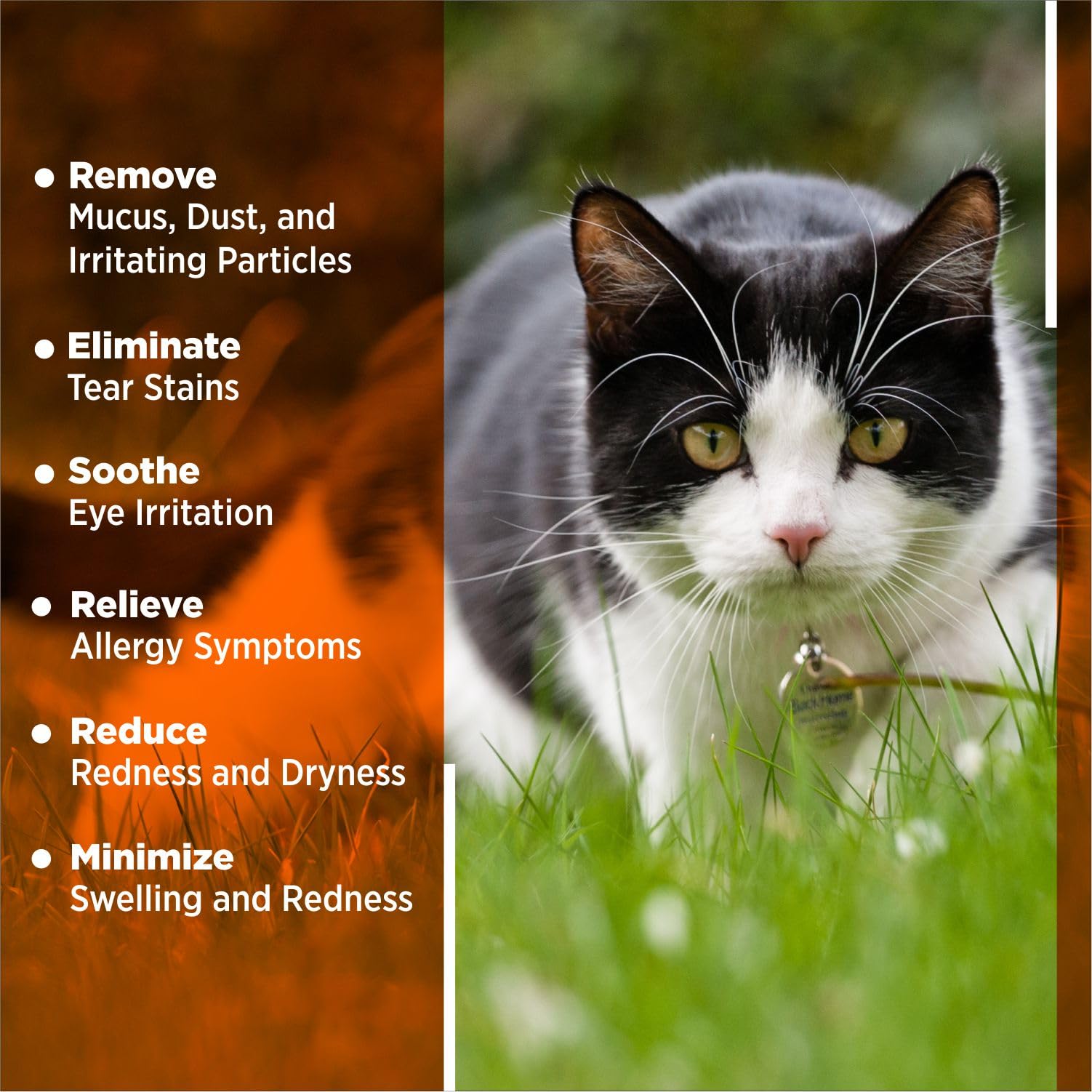 Soin oculaire Vivapee utilisable pour chiens, chats, chevaux et oiseaux.