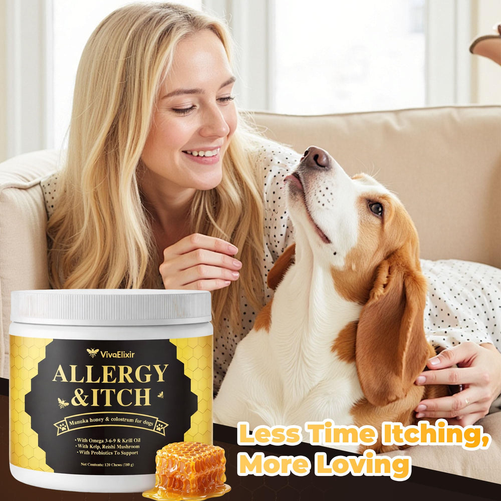 VivaElixir algue kelp chien – nutrition et soutien général