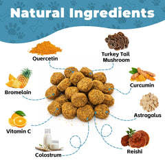 VivaElixir Bromelaine: complément doux pour le confort cutané canin.