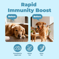 VivaElixir Champignons queue-de-dinde: soutien immunitaire potentiel pour chiens sensibles.