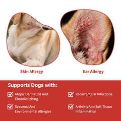 VivaElixir Quercétine et Bromélaïne — articulations et mobilité du chien, effet anti-inflammatoire potentiel.