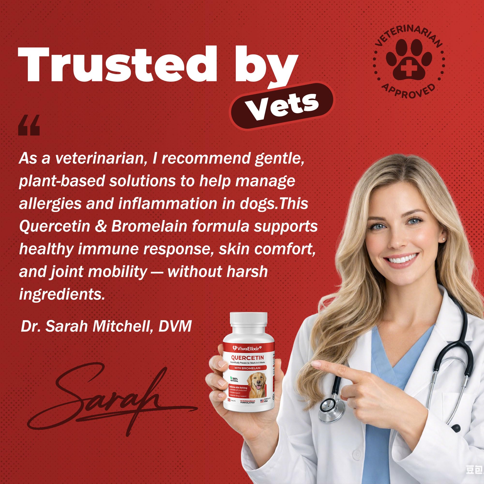 VivaElixir Quercétine et Bromélaïne — immunité canine, défense naturelle renforcée potentiellement.