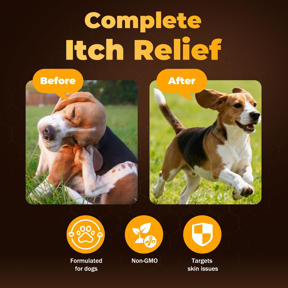 VivaElixir quercetine chien – antioxydants et confort quotidien