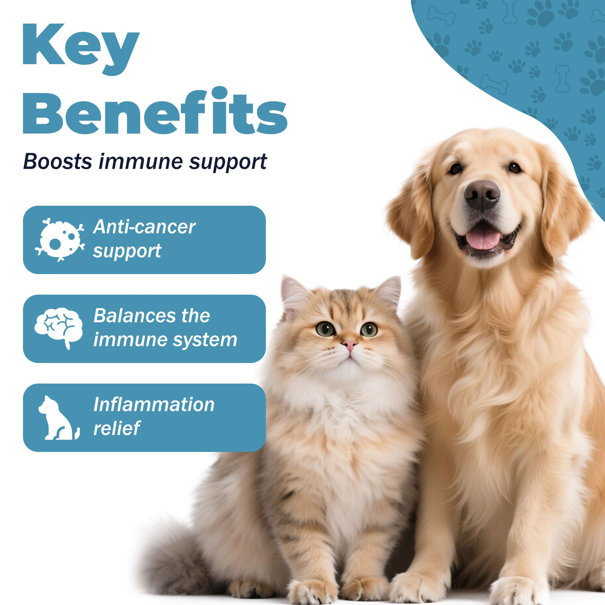 VivaElixir Quercetine: extrait végétal soutenant les réactions allergiques chez le chien.