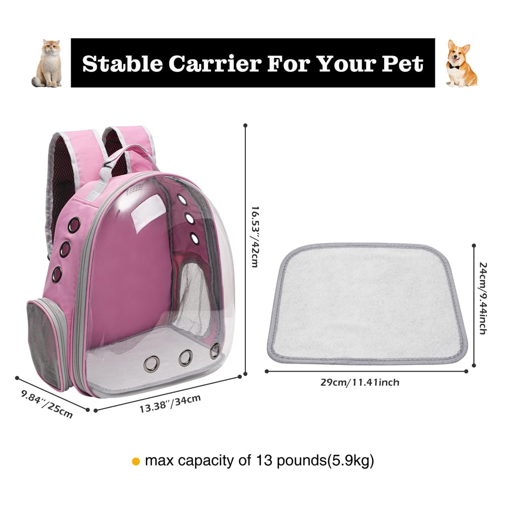 Vivicreate utilisation polyvalente pour voyage et quotidien avec votre chat.