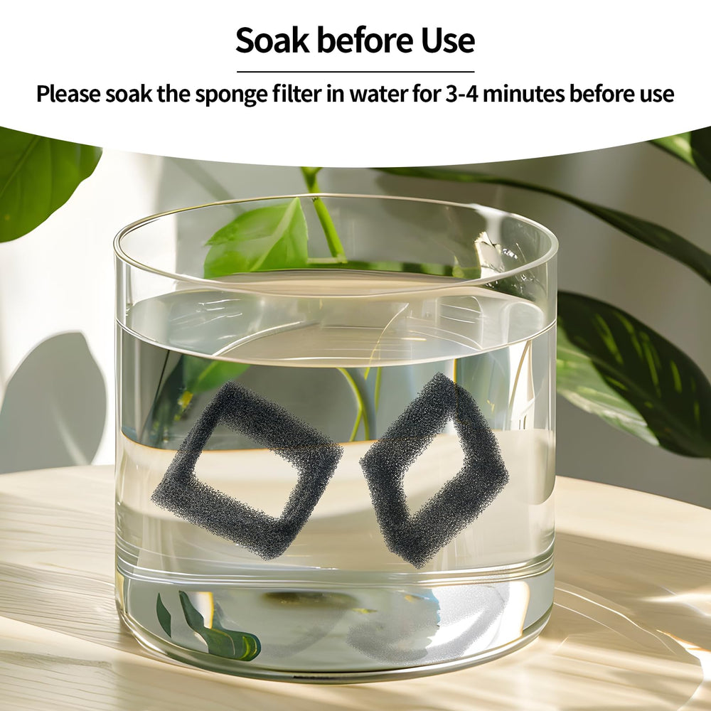 Éponge à tremper 3-4 minutes avec VIVIDORAMA avant utilisation