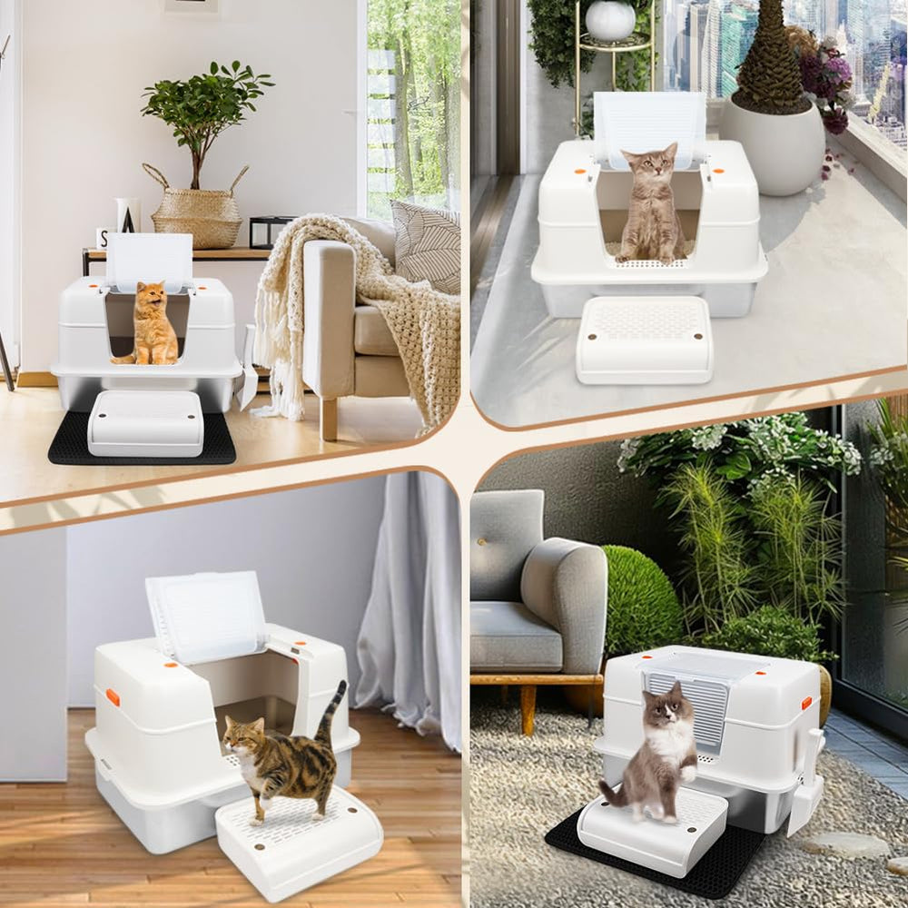 Vivifying ensemble d'accessoires incluant pelle, tapis et marche-pied.