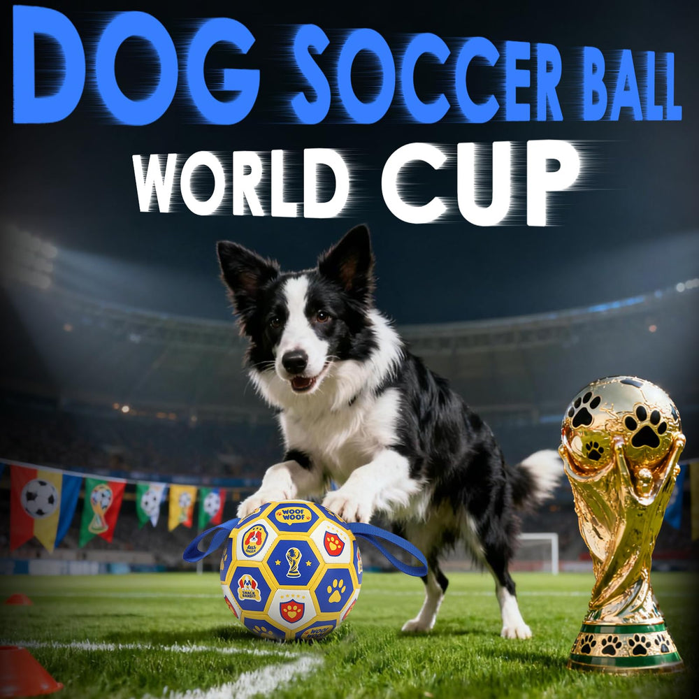 Motif Coupe du Monde sur le ballon Vivifying pour chien actif.