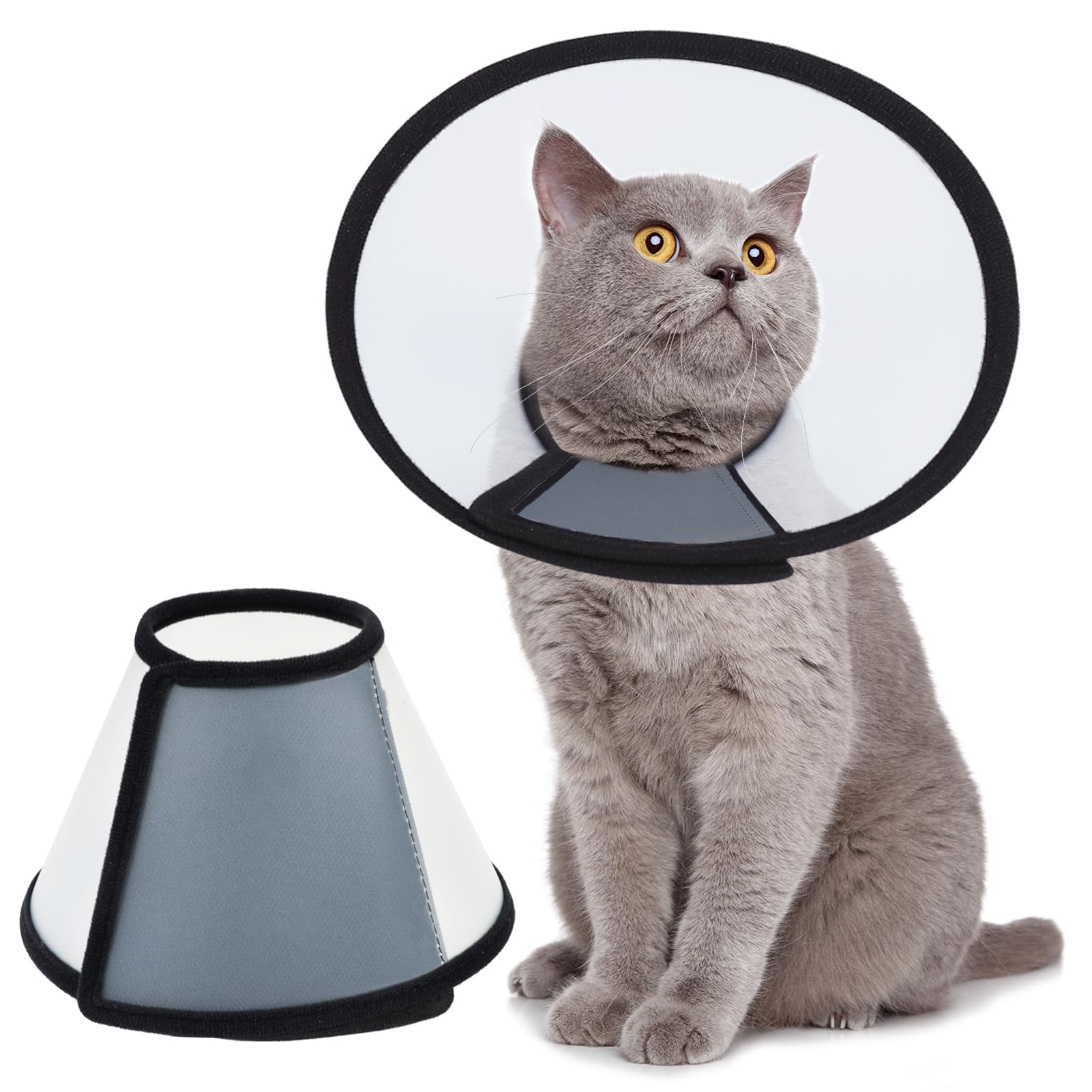 Collier de récupération Vivifying pour chat noir protège les plaies après chirurgie.