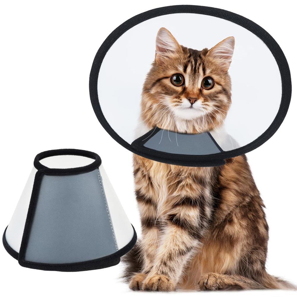 Vivifying collier elisabethain pour chat grand, protection post-chirurgie et confort.