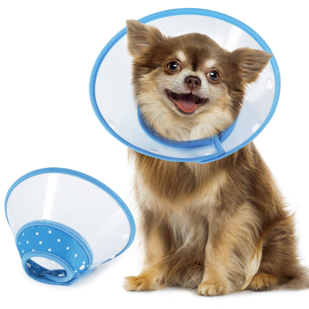 Cône Vivifying bleu pour petit chien, confort et protection après chirurgie.