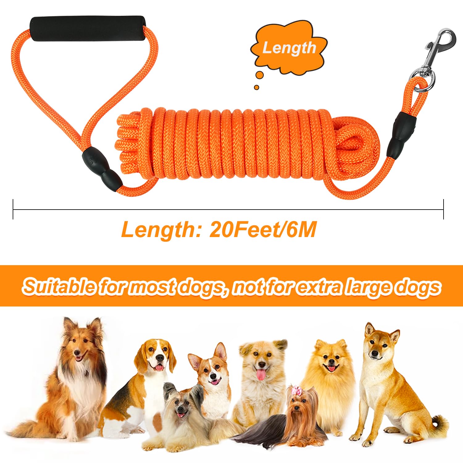 Vivifying Longe-Chien Haute visibilité, repérable pendant les activités nocturnes.