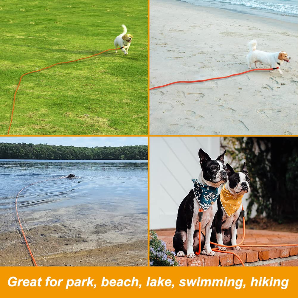 Vivifying Longe-Chien pour nage, plage et lac, sécurité et facilité.