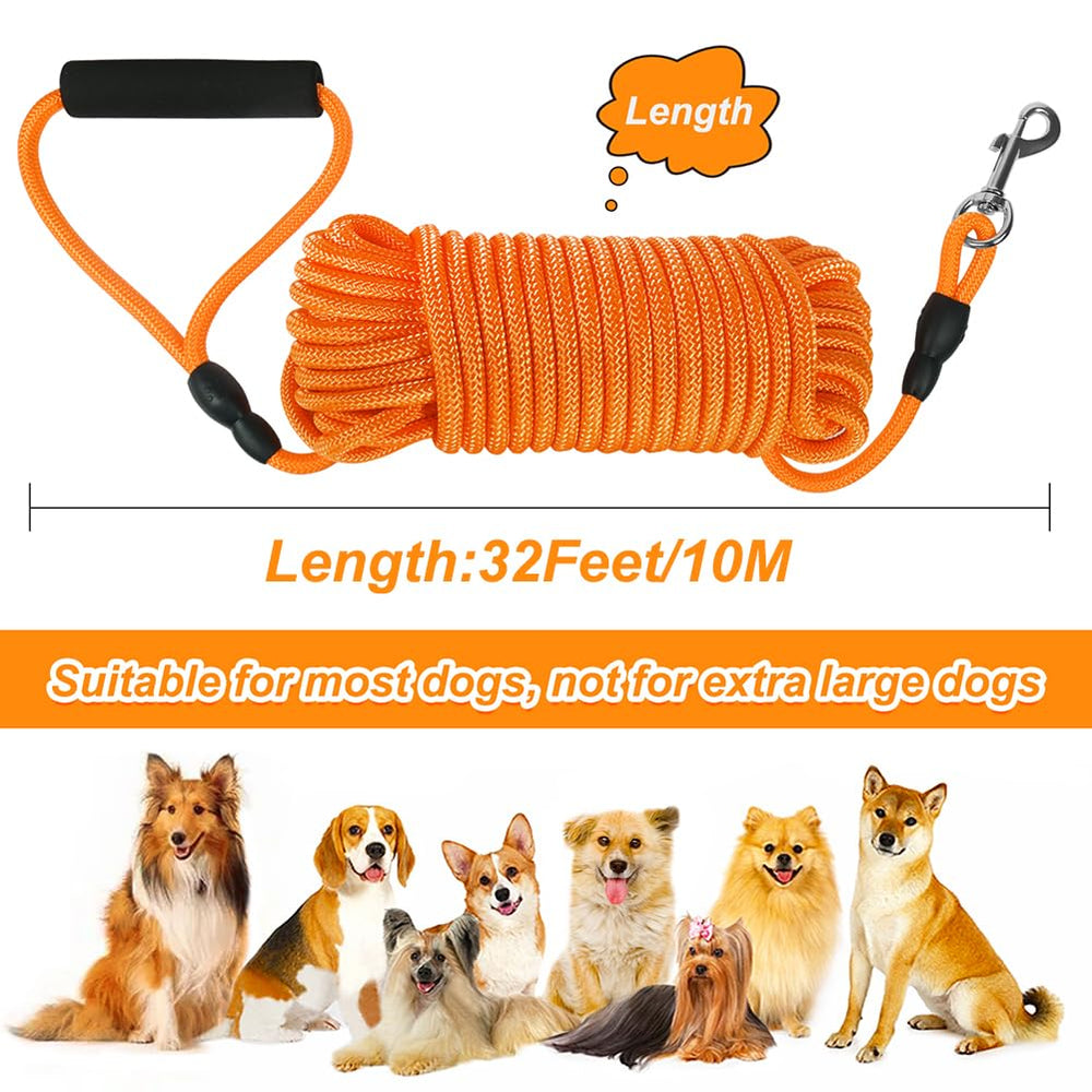 Conçue pour chiens moyens, robuste et légère pour les activités extérieures.