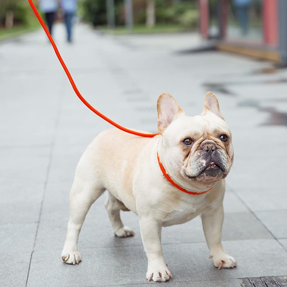 Longe dressage Vivifying pour chiens moyens.