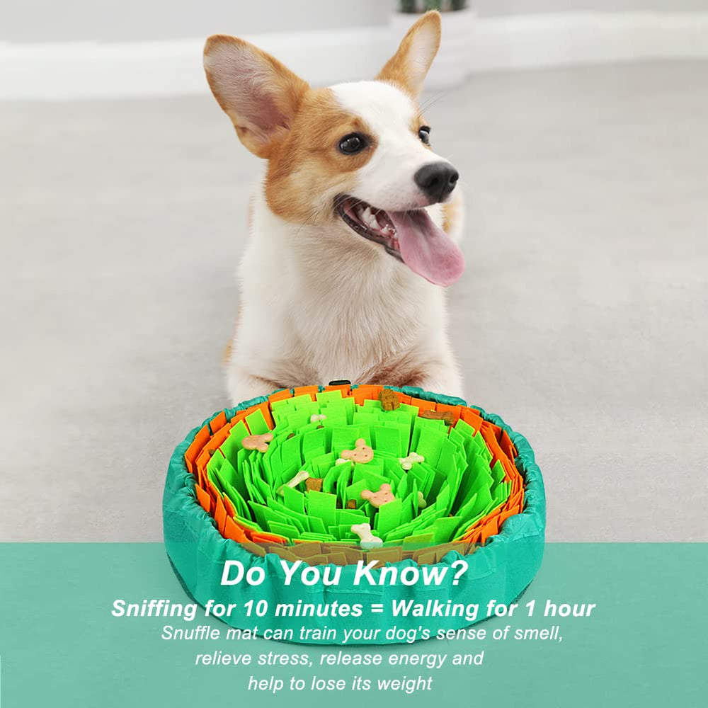 Snuffle Mat Vivifying à utiliser sous surveillance – sécurité et plaisir