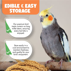 Vivlly millet en spray 5 livres – grains croustillants pour régal des oiseaux.