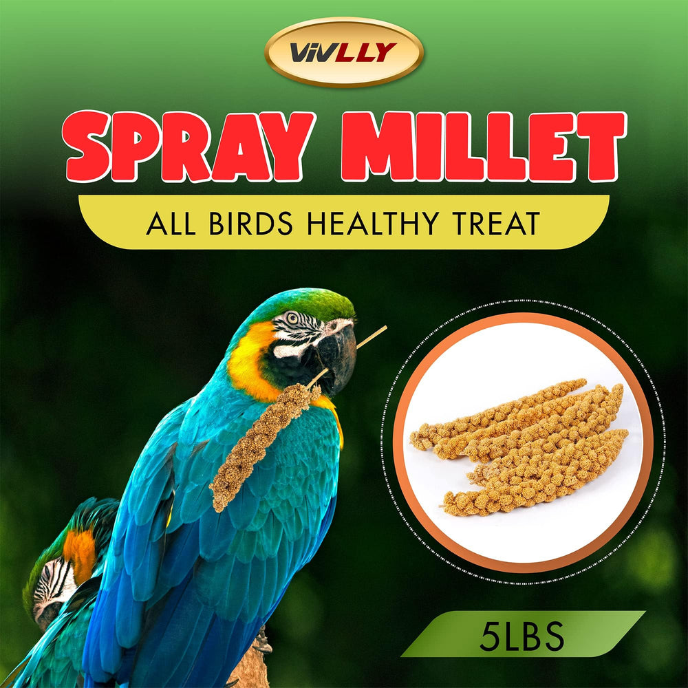 Vivlly millet en spray 5 livres – étiquette Non-OGM pour traçabilité rassurante.