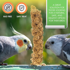 Vivlly millet en spray 5 livres – oiseaux heureux dégustent ce snack sain.