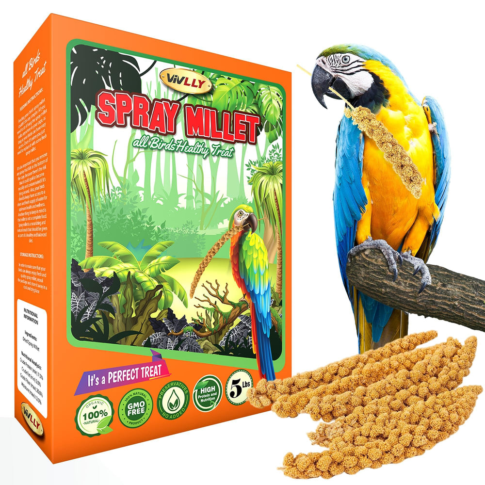 Vivlly millet en spray 5 livres – procédé sans insectes pour une friandise propre.